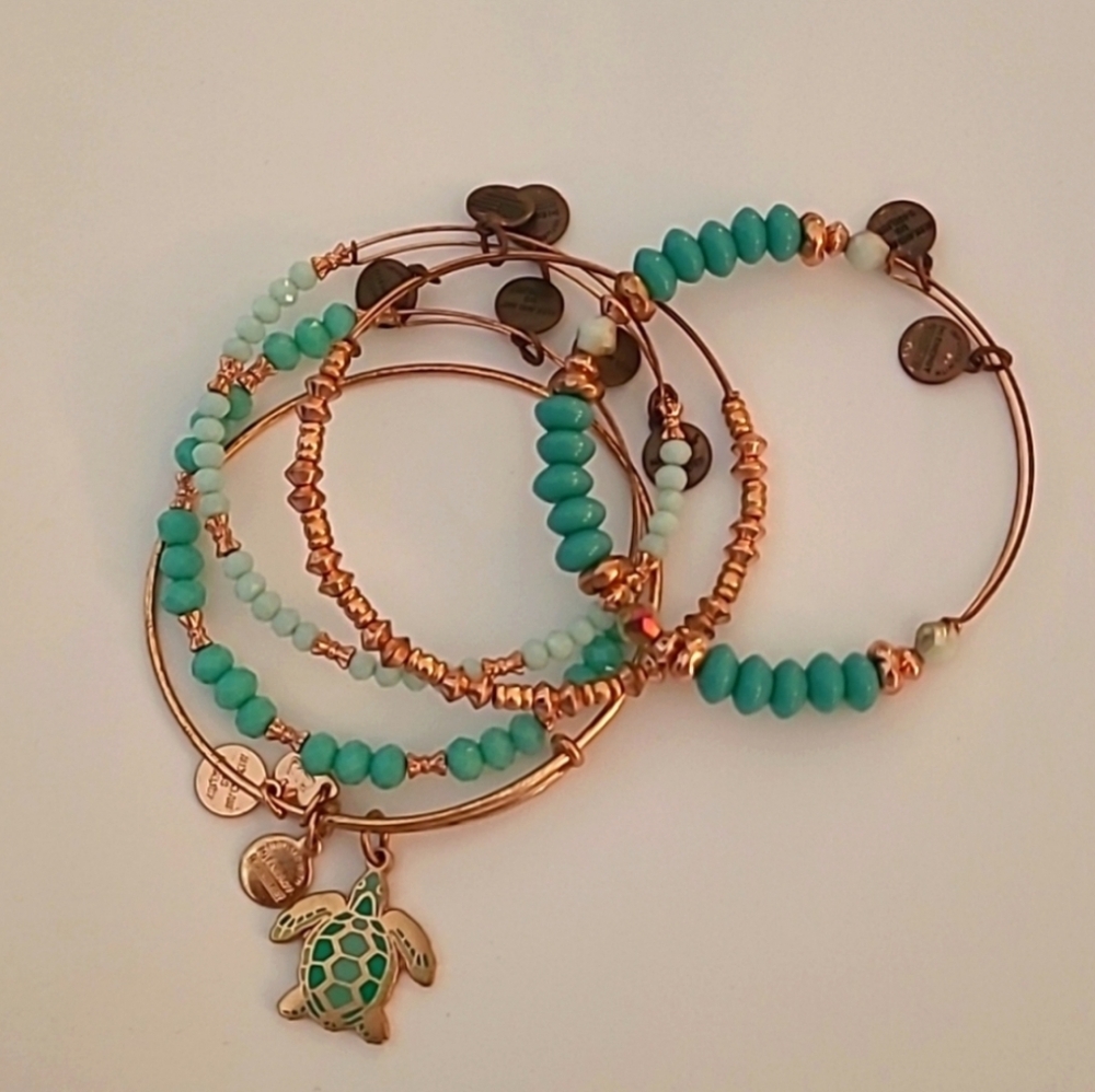 Alex And Ani Go With The Flow Rose Gold